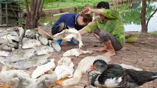 The Epidemic Destroyed Father & Daughter's Farm - Free New Life