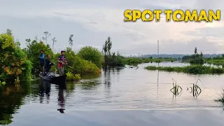 JALUR EXTREME "MANCING STRIKE BABON TOMAN " SPOT PEMANCING CASTING