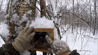 Охота на куницу. Проверка прыгающих капканов (Будни охотника и рыбака)