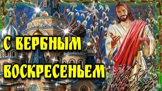 🙏28 апреля Вербное Воскресенье🙏Вход Господень в Иерусалим🌿Красивая музыкальная открытка🌿