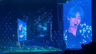 Taehyung Singularity 190320 Love Yourself Tour in Hong Kong