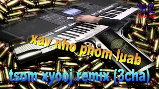 xav rho phom luab - tsom xyooj Remix (3cha)