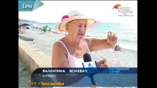 В районе поселка Лоо аквалангист нашел гранату