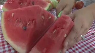 Storm Lab Local: Cordele's Watermelon Festival represents area's significant agricultural output