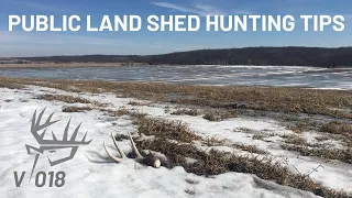 Public Land Shed Hunting Tips