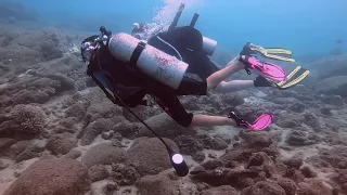 Grové Family SCUBA Diving in Maui, August 2019