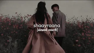 Shaayraana : holiday | slowed-reverb | LO-FI VERSION | Arijit Singh | sleepy head #trending