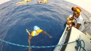 Diana Nyad Drinking Water - Cuba To Florida Swim (9/1/2013 1:15PM)