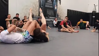 Craig Jones crazy armbar submission in his Brisbane seminar (8/10/2022)