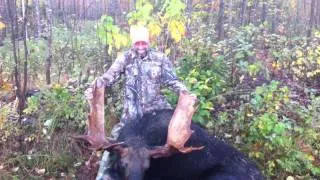 2012 Maine bull moose hunt with Pleasant river guides