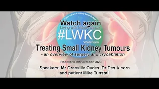 Kidney Cancer UK - #LWKC Webinar Treating Small Kidney Tumours