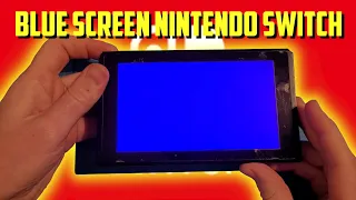 Blue Screen of death | Nintendo Switch repair