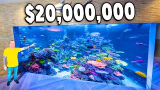 Un Tour por el Tanque de Peces de $20,000,000 de Brian Barczyk