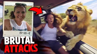 The Most BRUTAL Big Cat Attacks MARATHON 2!