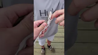 Shark Bite!