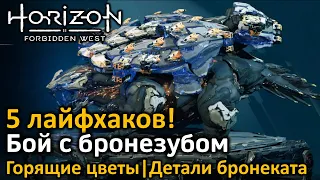 Horizon Forbidden West | Бой с бронезубом | 5 лайфхаков! | #1 Горящие цветы | #2 Детали бронеката