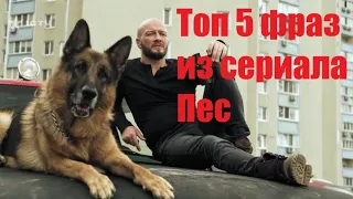 Топ 5 фраз из сериала Пес.