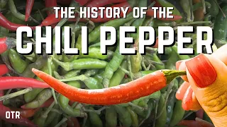 How The World Became Spicy (In Only 20 Years)