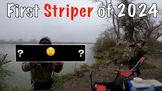 Sacramento River January Striper Fishing 2024- Deep Water Channel