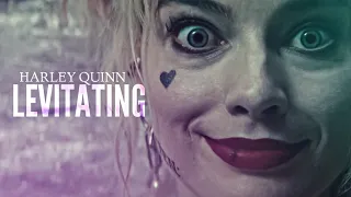 Harley Quinn || Levitating