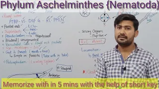 10.6 Phylum Aschelminthes  - Kingdom Animalia part 1 Fsc Biology