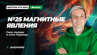 Все задачи на магнитные явления. Сила Ампера и сила Лоренца | №25 на ЕГЭ 2024 по физике