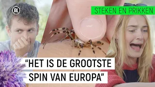 PRESENTATOR DURFT VOOR HET EERST NIET GEBETEN TE WORDEN!! | Steken en Prikken S2 #9 | NPO Zapp