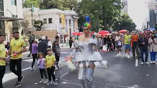 Gay pride revellers in Sao Paulo reclaim Brazil's national symbols