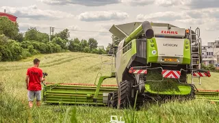 PRVNÍ ŽNĚ 2020 V ČESKÉ REPUBLICE ! Claas Lexion 770, Massey Fergusson, 2x Zetor / żniwa 2020