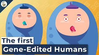 Gene Edited Babies and CRISPR: Beyond the Hype