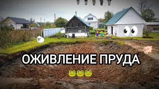 Очистка и углубление ПРУДА. Работа на ЭКСКАВАТОРЕ. Таймлапс.