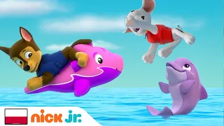 Psi Patrol | Pieski ratują małego delfina! | Nick Jr.