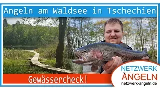 Gewässercheck: Angeln am Waldsee in Tschechien