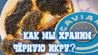 Как Правильно Хранить ЧЁРНУЮ ИКРУ? #vlog #trending