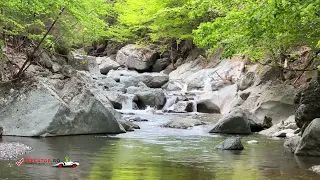 Rezervația Naturală Tișița, Cheile Tișiței, Jud Vrancea, România