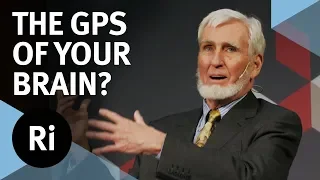 How Your Brain Maps The World - with John O'Keefe