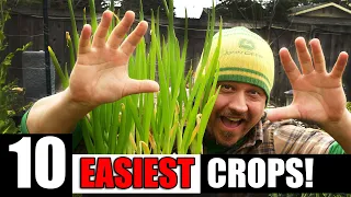 10 Easiest Crops To Grow For Beginners