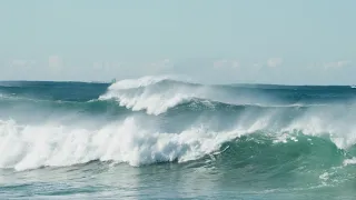 RAW SURF // Dee Why Point 11 & 12 June 2022 - Sony A7IV