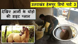 UTTARAKHAND HEMPUR DEPOT HORSE || ARMY HORSE DIET PLAN || PART - 1 ||