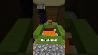 The Theoretical PERFECT Minecraft Speedrun