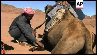 Tourists learn the art of camel riding ++REPLAY++