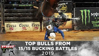 The Best of the Best Bucking Bulls From The 15/15 Bucking Battles | 2019