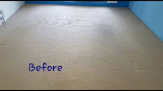 Carpet Steam Cleaning