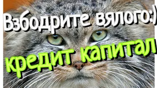 Каловерные шмоньки пытаются утаить ПРАВДУ:)