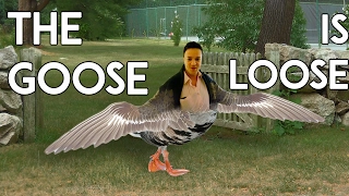 The Goose is Loose - Speedrunner RWhiteGoose