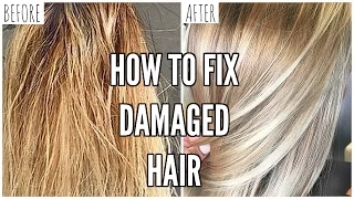 How To Fix EXTREMELY Damaged Hair At Home