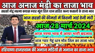 अनाज मंडी भाव| 28 मार्च 2024 आज सरसों गेहूं जीरा इसबगोल मूंग ग्वार इत्यादि फसलों के भाव| Mandi Bhav,