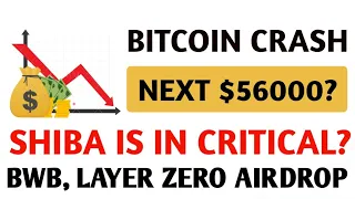 Bitcoin Will Reach $56000 Soon? ❌ Shiba inu In Critical Situation? | BWB & Layer Zero Airdrop