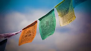 TIBETAN HARMONICS • The myNoise Original • 1H Powerful Meditation Frequencies