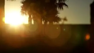 Rising shot of sun behind palm trees.